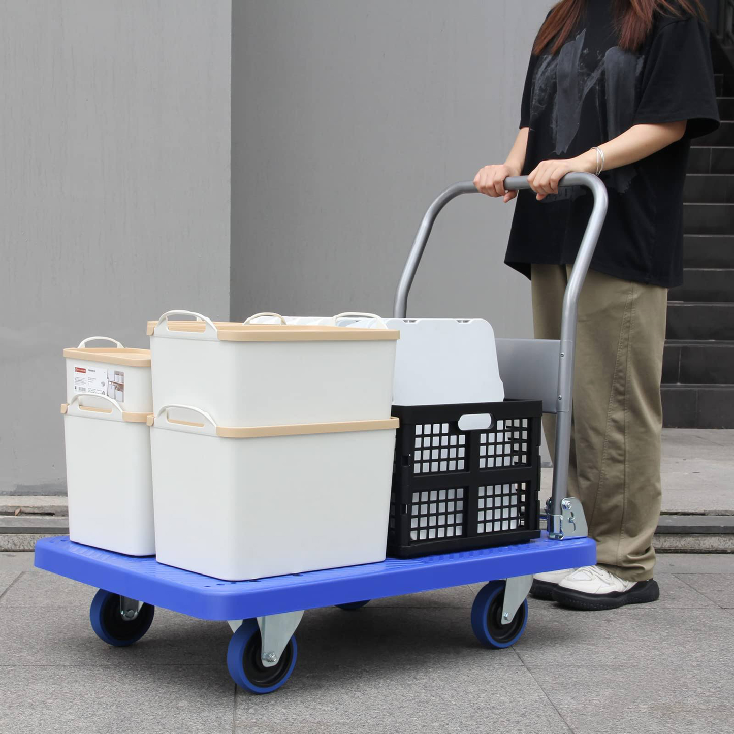 Carrito de carga Plegable 450Kg Aquila