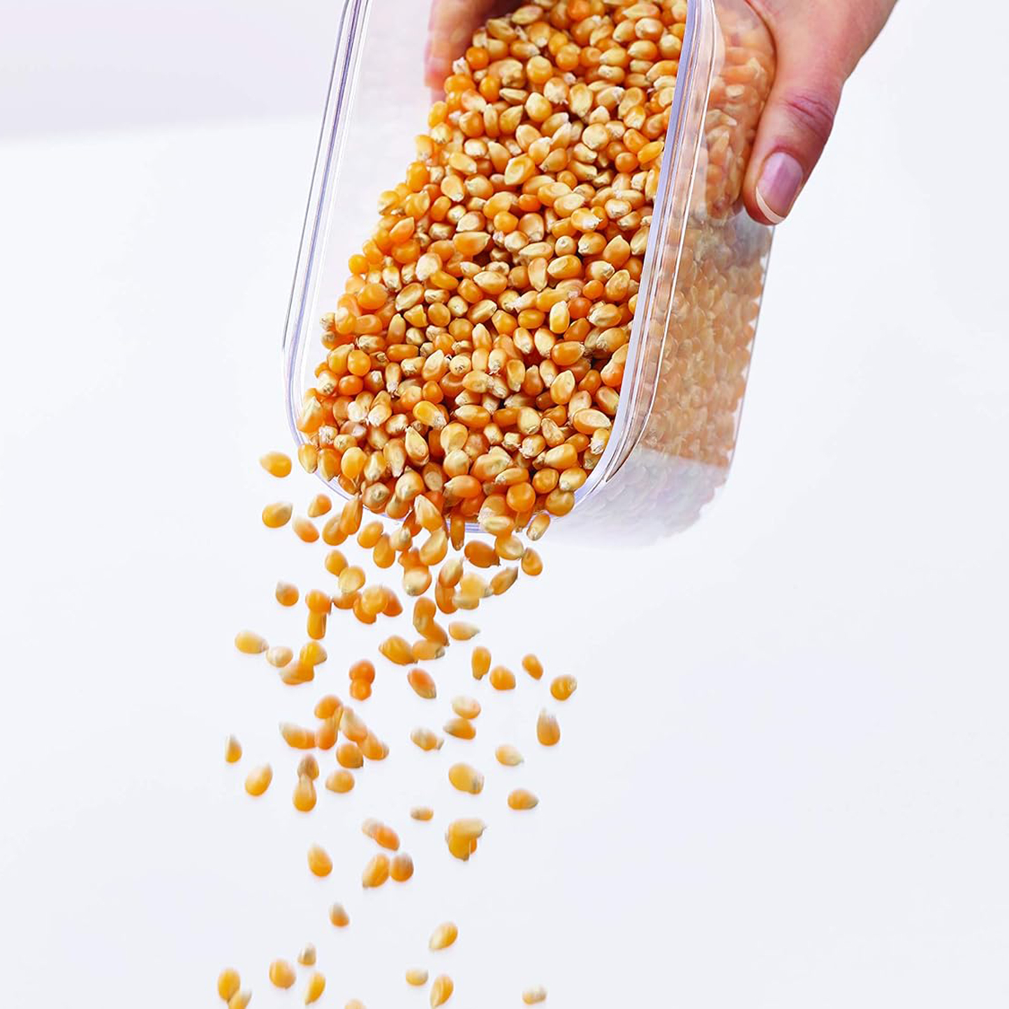 3 Contenedores de Alimentos  Colgantes Aquila 900ml