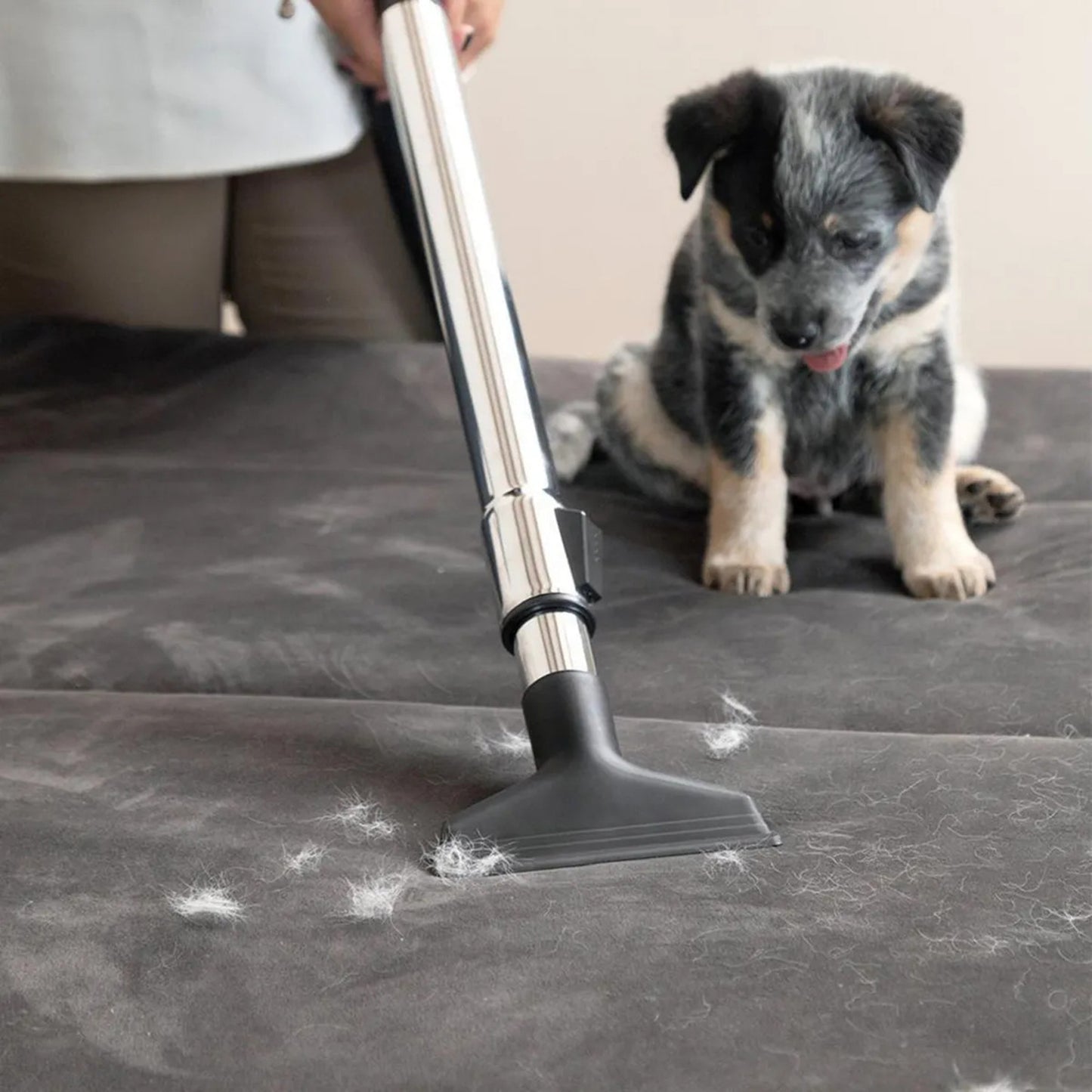 Aspiradora Sólidos Karcher VCL 3 CYCLONIC 1000W Blanco