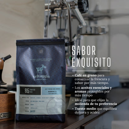 Café de Especialidad Selvaggio en Grano 470 Gramos