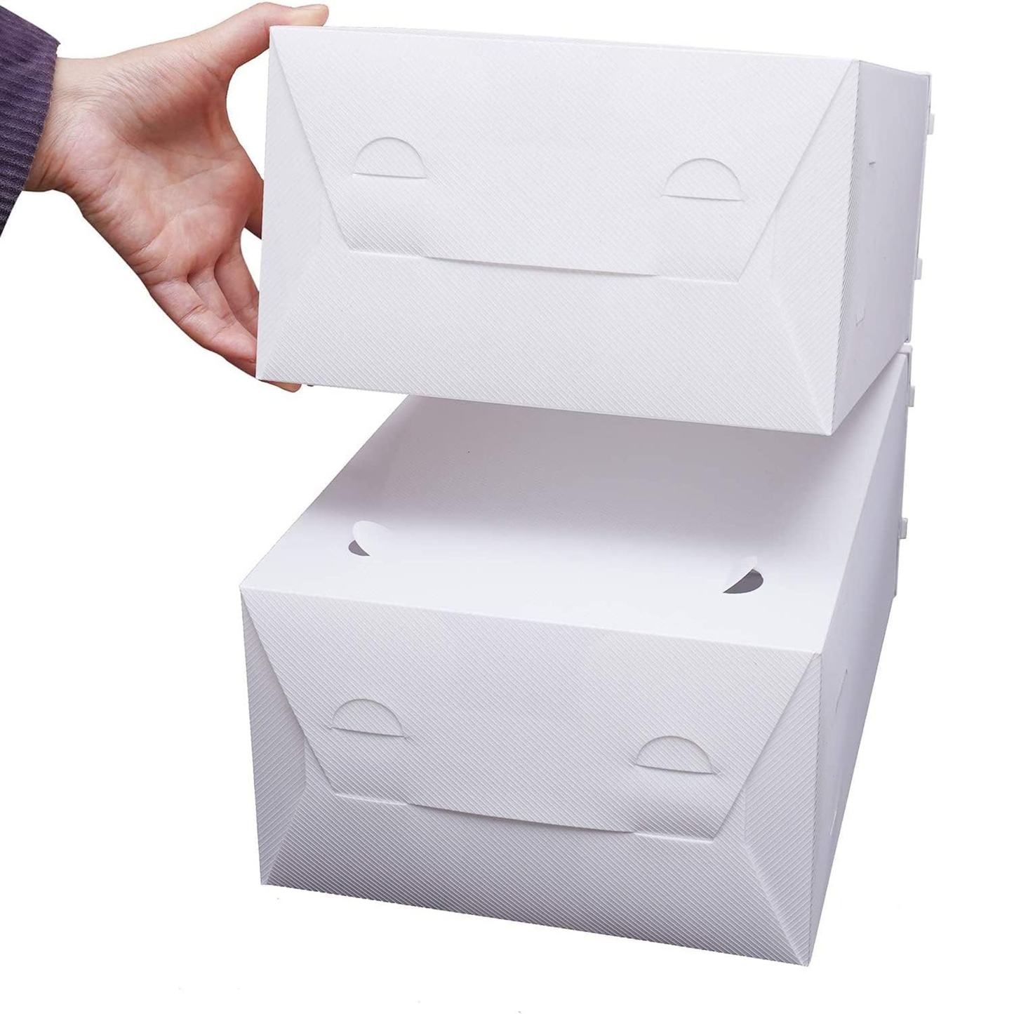 Organizador de Zapatos Aquila Plastico Blanco 12 Pares